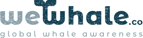 WeWhale fine art collections